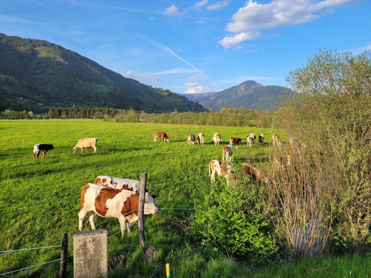 Mountain View Near Kaprun - Steinbock Apartment Piesendorf