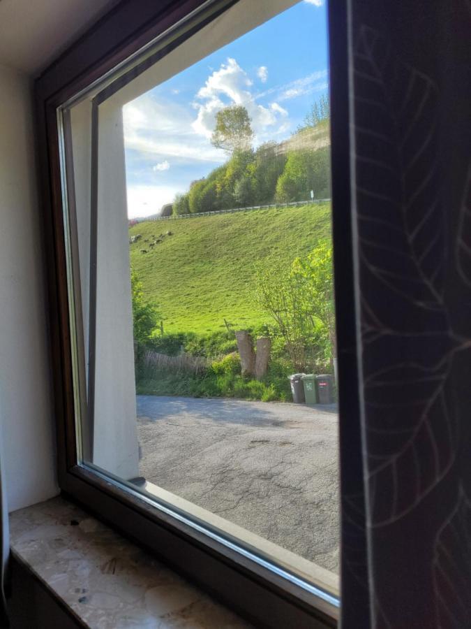 Mountain View Near Kaprun - Steinbock Apartment Piesendorf