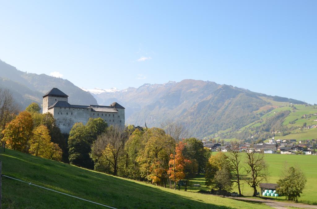 Apartment Mountain View Near Kaprun - Steinbock Piesendorf